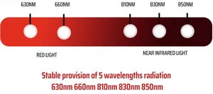 Red Light + Near Infrared Light Panel - Large
